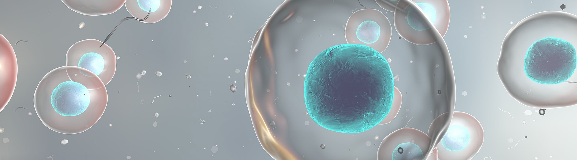 應(yīng)用領(lǐng)域