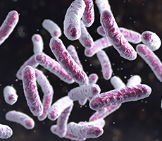 應(yīng)用案例 | 微生物細(xì)胞計(jì)數(shù)和活率檢測分析