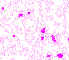 新型號上市 | JSY系列細(xì)胞計(jì)數(shù)儀迎來新伙伴！